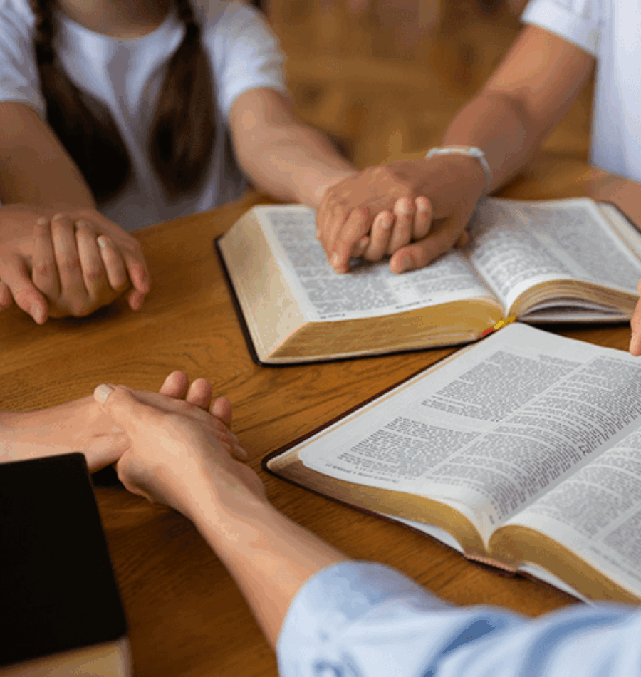 high-angle-children-holding-hands (1)